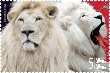 Pięć lat Palatynatu Leocji